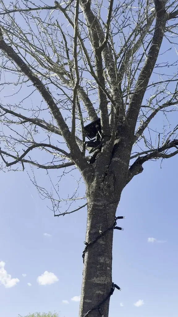 Dr Afshin_Restaurante Requinte no Parque_Vila Nova de Famalicão_Bewertung