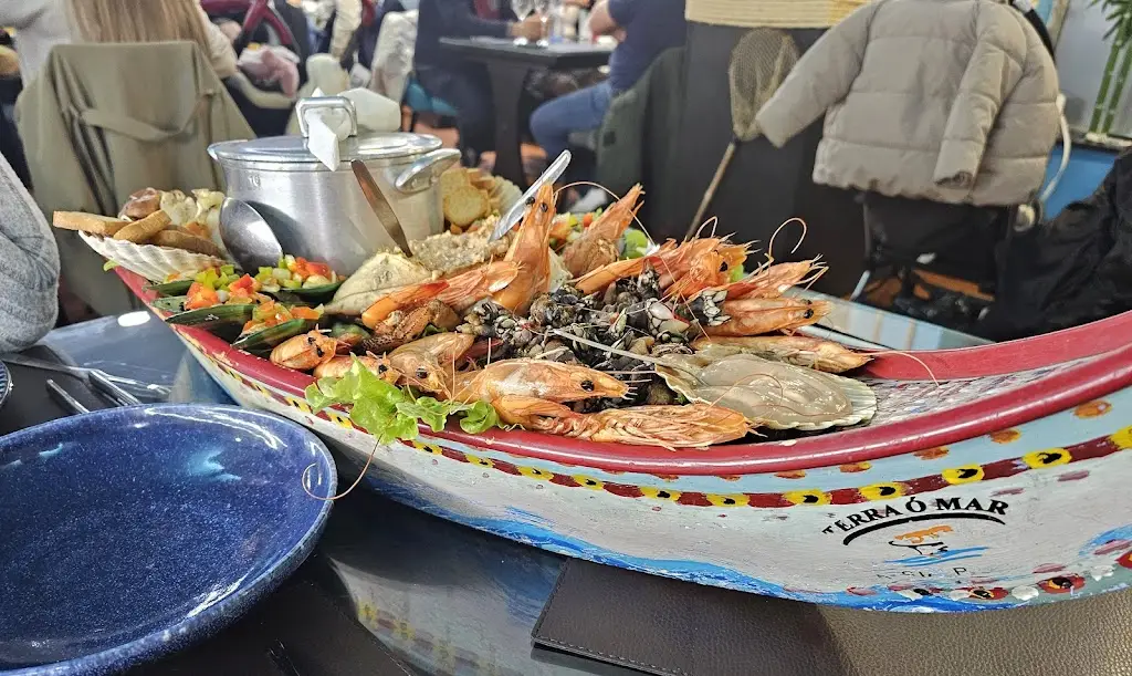 Elisa Ferreira_Terra ó Mar_Vila Nova de Famalicão_review