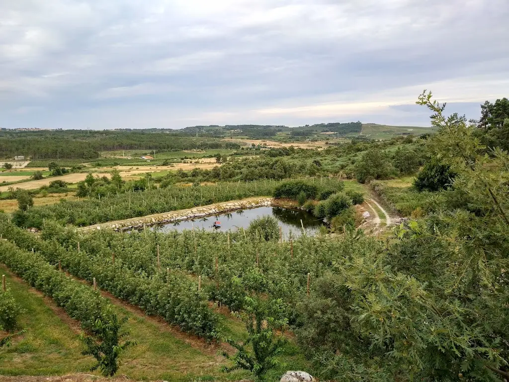 Rodrigo Monteiro_Taberna da Helena_Carrazeda de Anciães_recensione