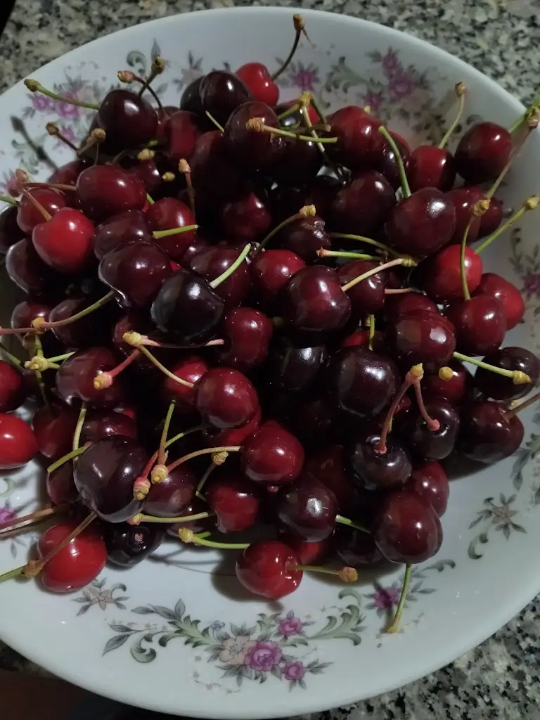 Menu_Tasca do Judas_Carrazeda de Ansiães_image_3