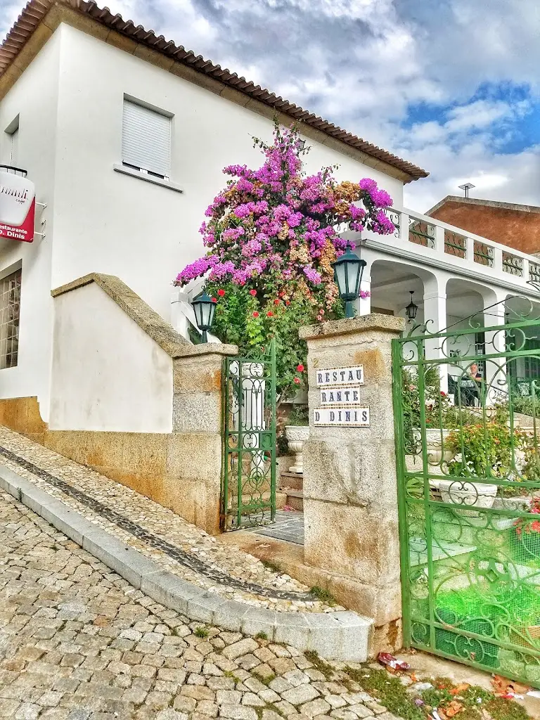 Vivienne Gan_Dom Dinis_Vila Flor_avis