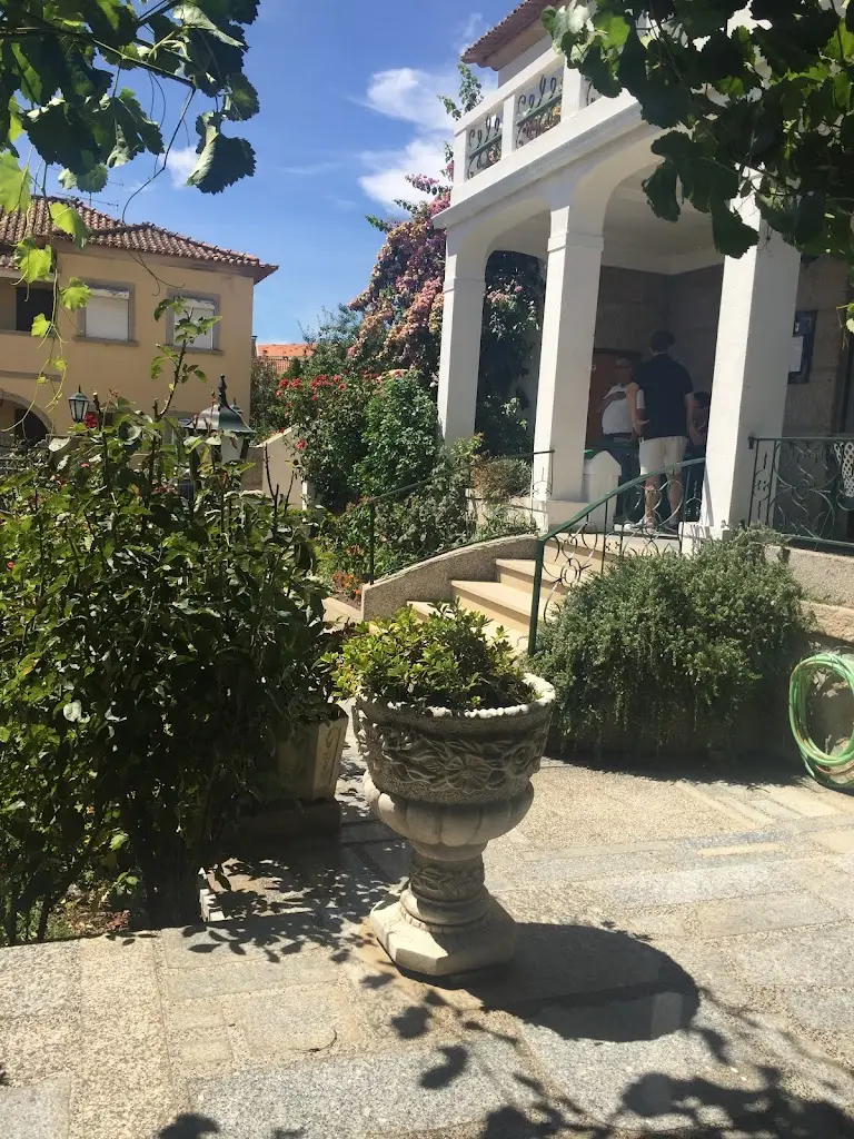 Bruno Silva_Dom Dinis_Vila Flor_avis