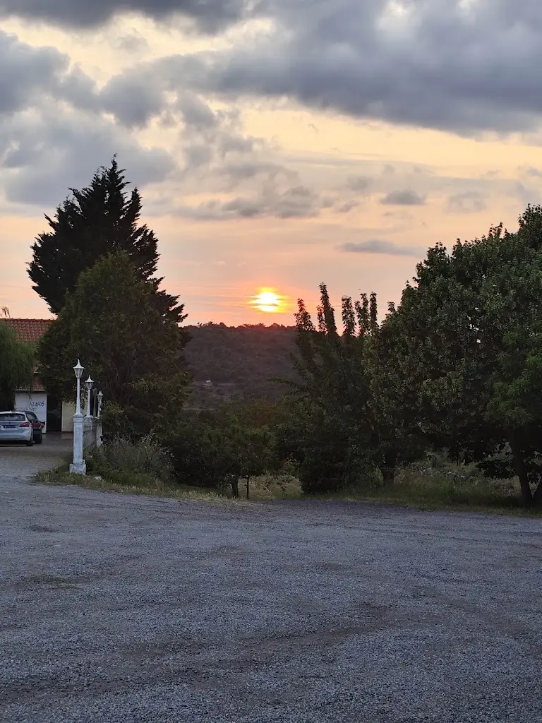 Gato do Asfalto_Restaurante Os Lázaros_Vila Flor_recensione