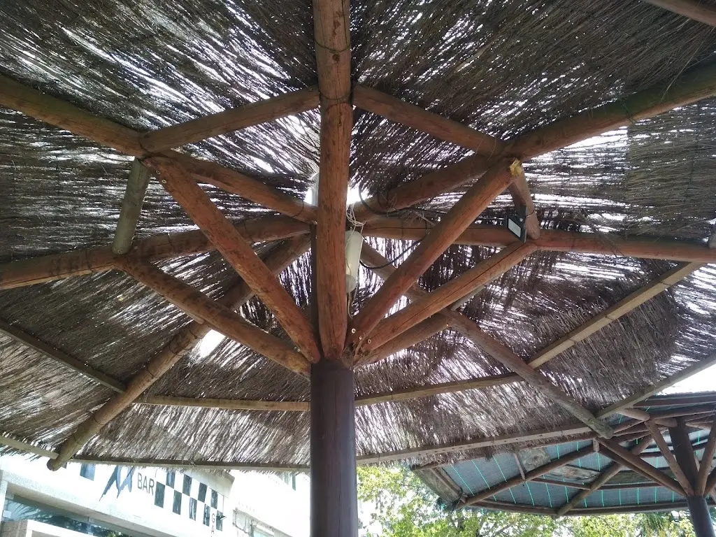 Luis S._Xx Bar_Vimioso_recensione