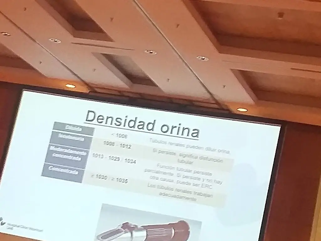 Menu_Cantina IPB_Bragança Municipality_immagine_1