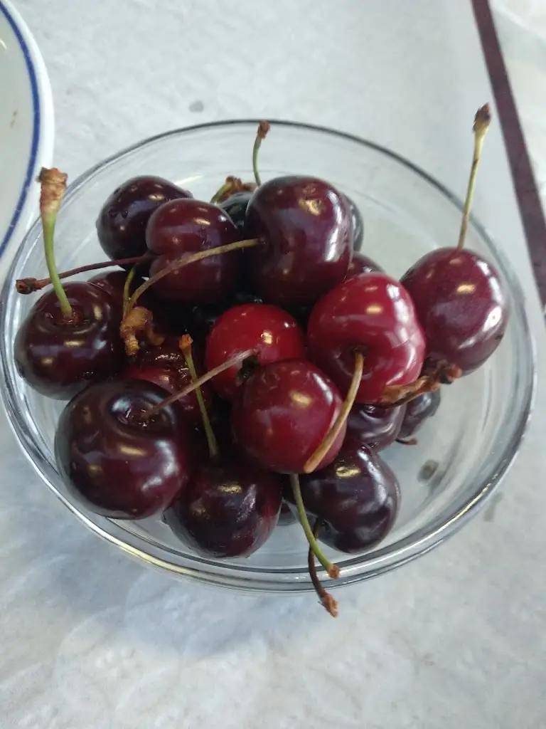 Menu_Cantina IPB_Bragança Municipality_immagine_8