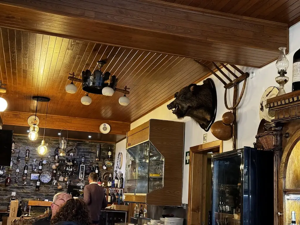 Carla Martins_O Javali_Bragança Municipality_review