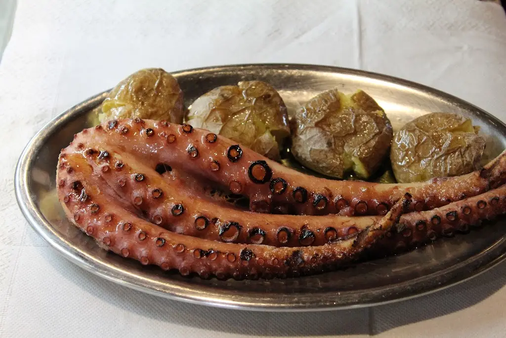 A Rotunda_Proença-a-Nova_slider_image_2