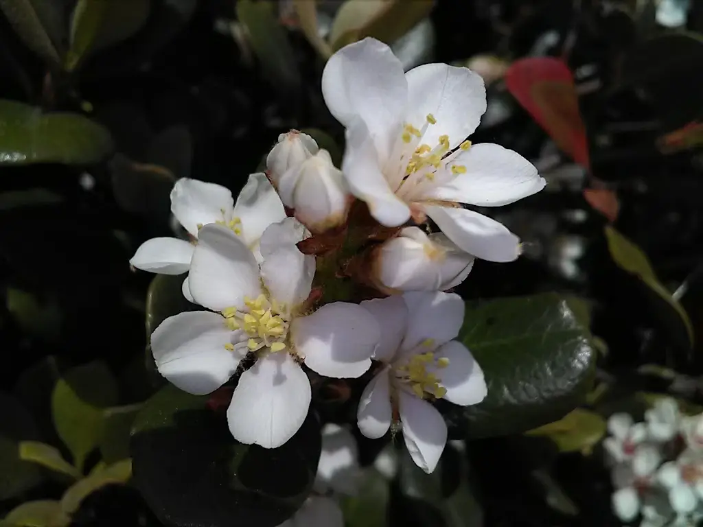 Apolo_Proença-a-Nova_slider_image_3