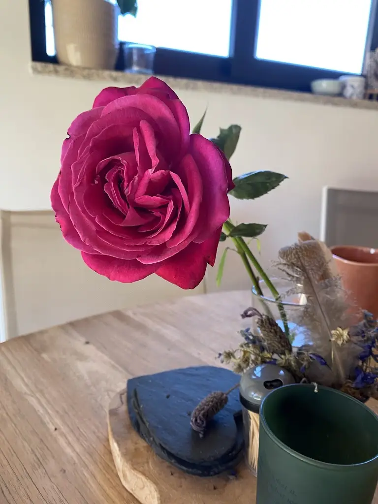 N. Wentinck_Restaurante Fontanhão_Penamacor_recensione