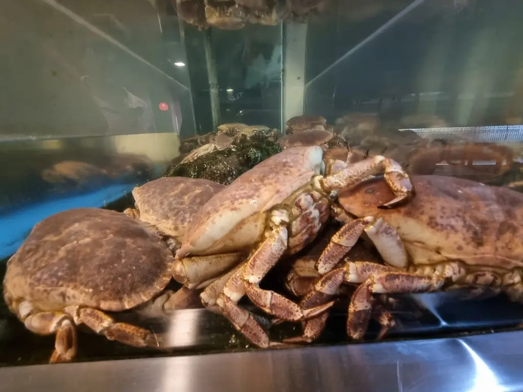 Menu_Kais do Tua Marisqueira_Mirandela_immagine_8