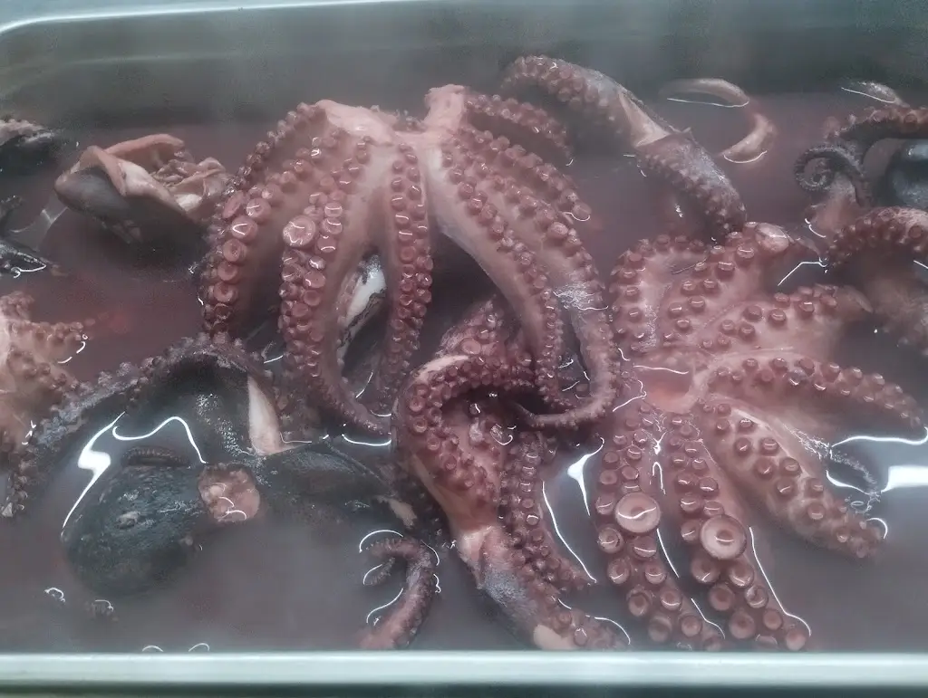 Menü_Restaurante O Forno_Mirandela_Bild_6