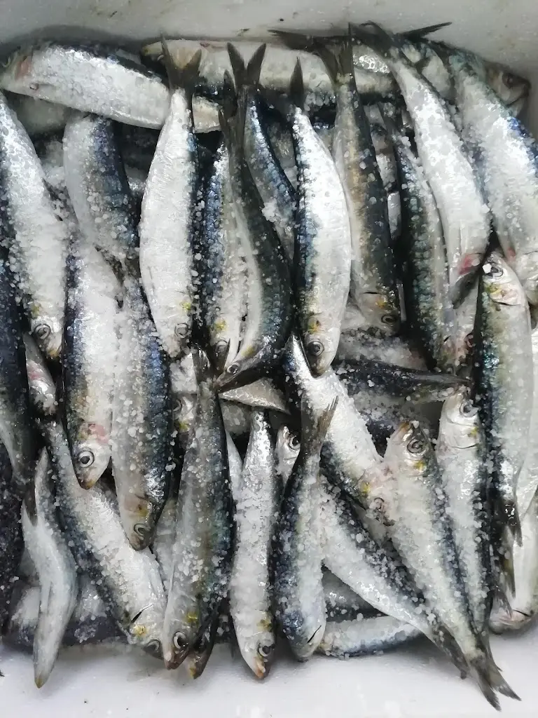 Menu_Taberna Algarvia 31_Lagoa_image_9