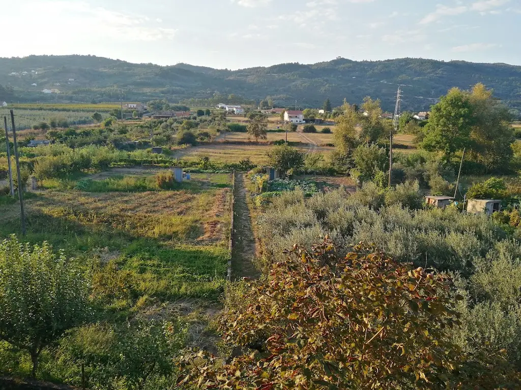 Geni_Teixoso_slider_image_3