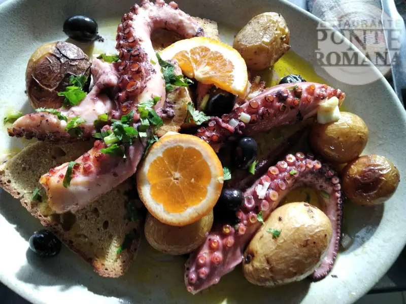 Ponte Romana_Sertã_slider_image_3