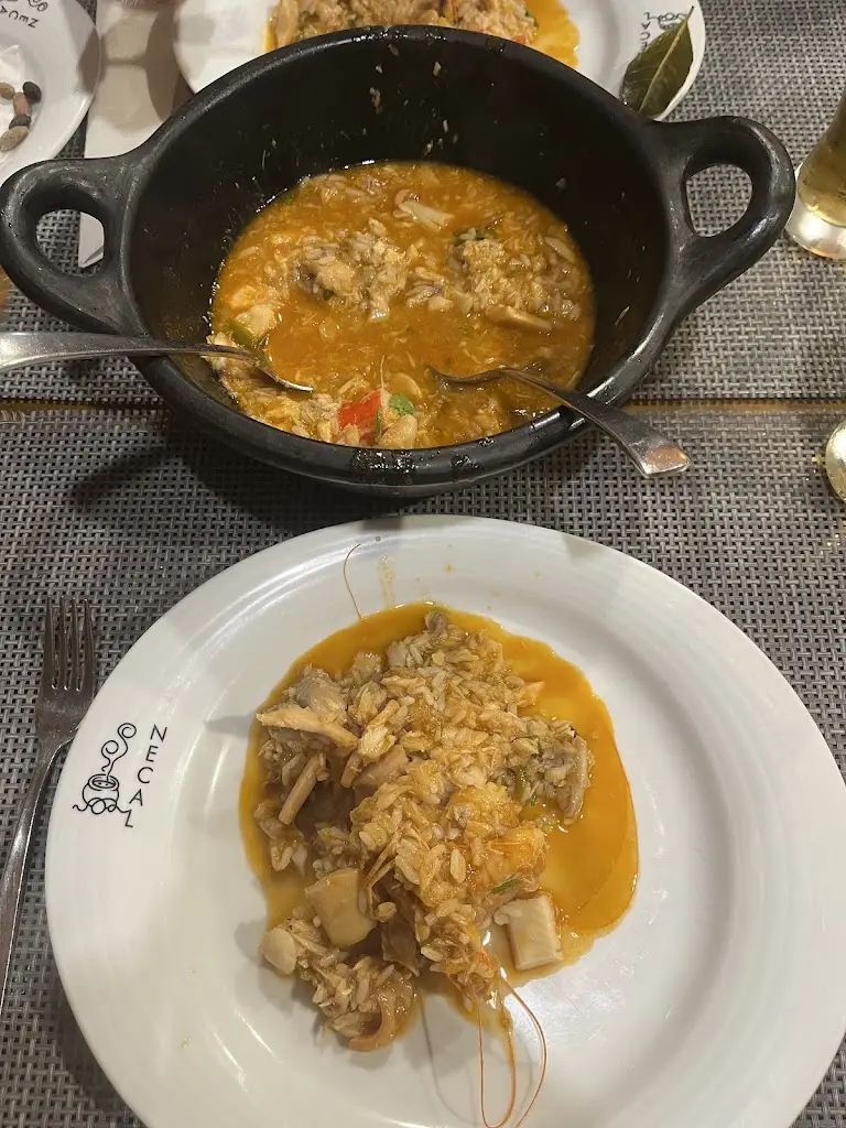 Armando_Necal_Cantanhede_reseña