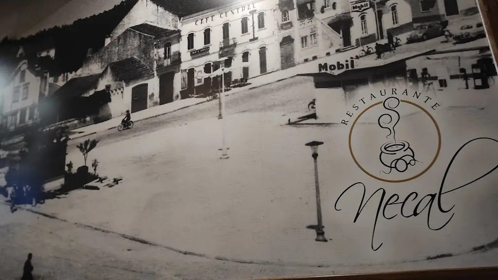 Francisco Azenha_Necal_Cantanhede_reseña