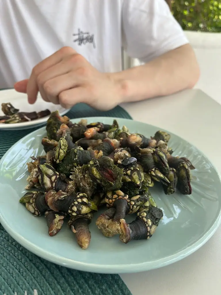 Anna Paul_Restaurante Istabom_Lagoa_recensione