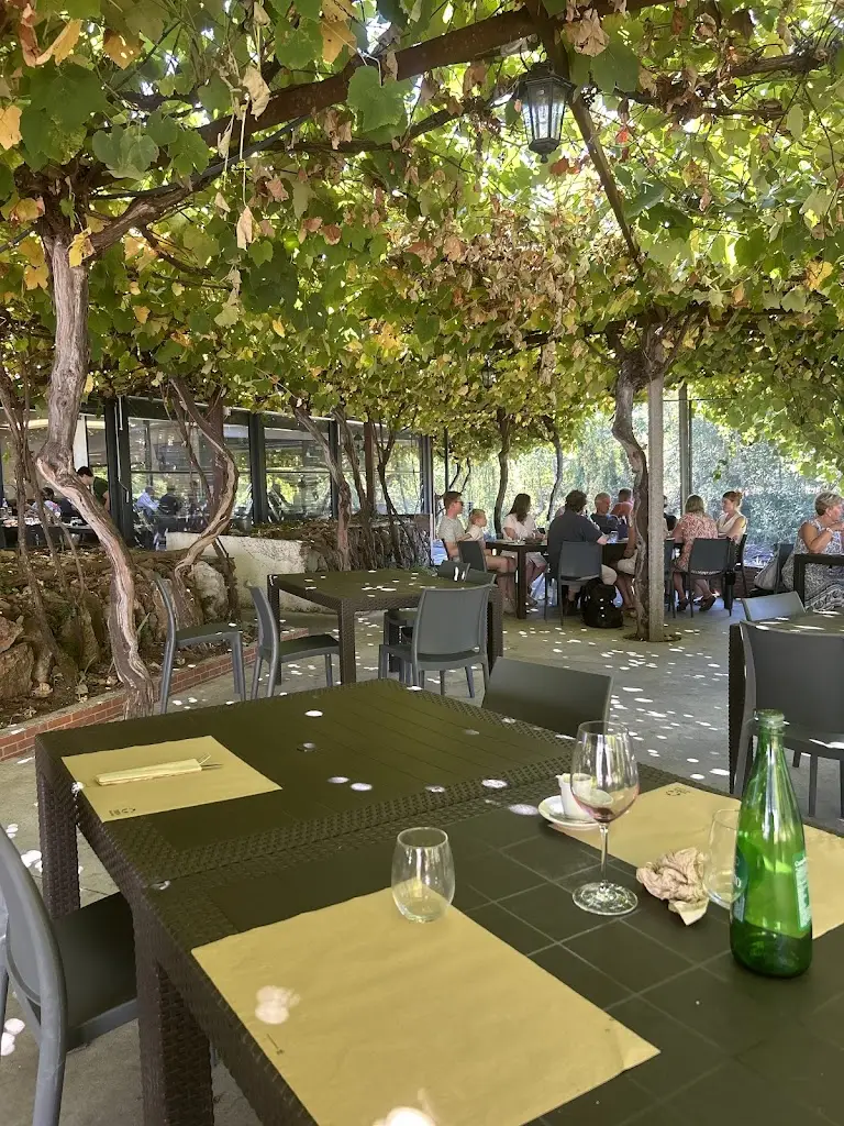 David Armstrong_Sombrinha_Arganil_review