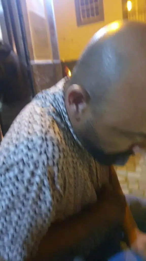 Mako Cocktail Bar_Arganil_slider_image_2