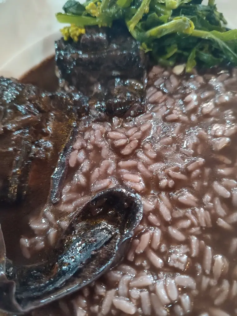 Afonso p_Côta_Lorvão_reseña