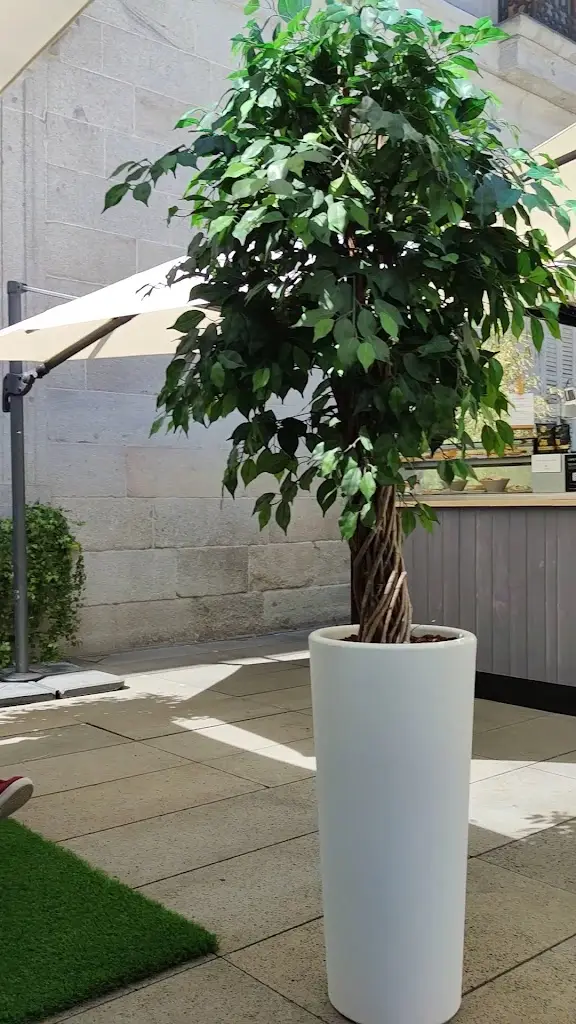 Tasquinha do Clides_Lorvão_slider_image_2