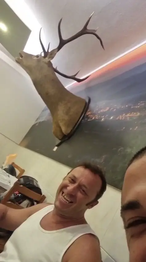 Zé Padeiro_Miranda do Corvo_slider_image_2