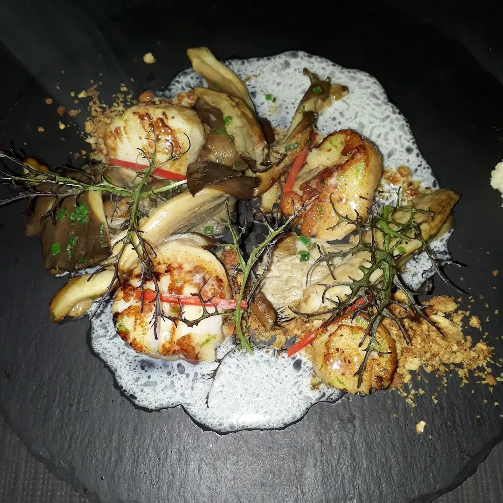 Menu_Santa Clara dos Cogumelos_Santa Clara_image_9