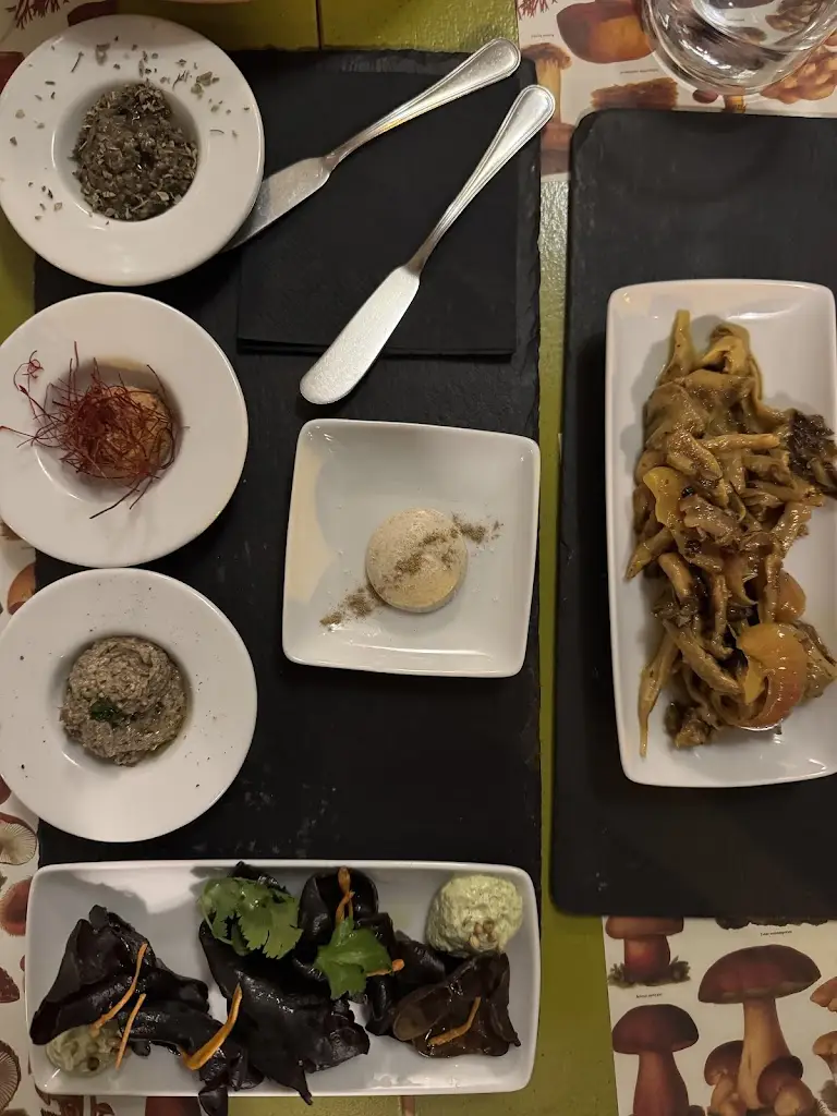 Hieu Tran_Santa Clara dos Cogumelos_Santa Clara_avis