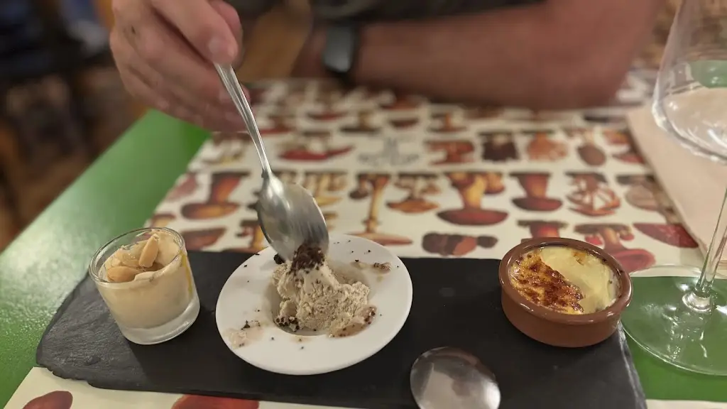 Catherine Ford_Santa Clara dos Cogumelos_Santa Clara_avis