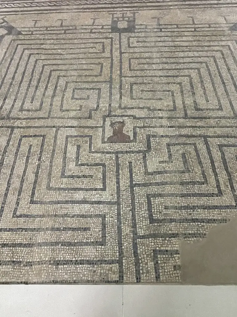 António Barriga_Zé Ninguém restaurante_Montemor-o-Velho_Bewertung