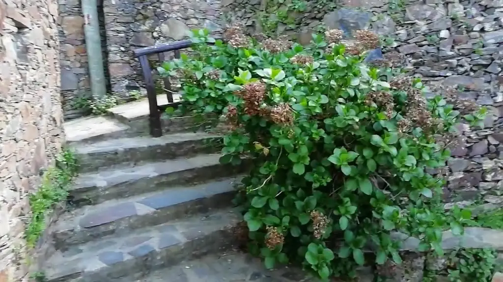 Ti Lena_Lousã_slider_image_2