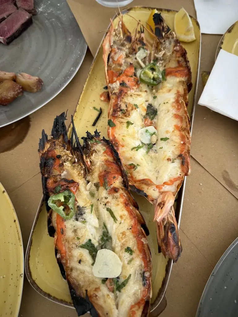 Thomas Benedix_Zé Sal e Mar_Tocha_review