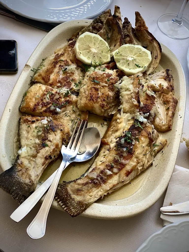 Pedro Joel Costa_Panorama_Tocha_review