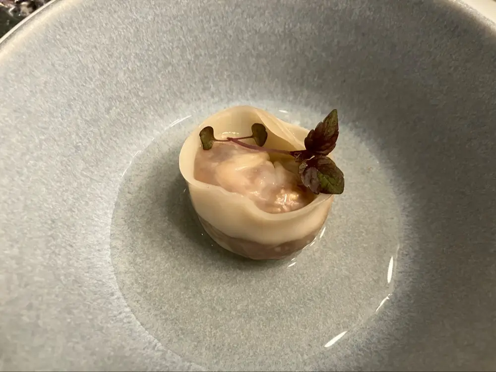 Helaine Graziele Santos Vieira_Lisbeto_Borba_reseña