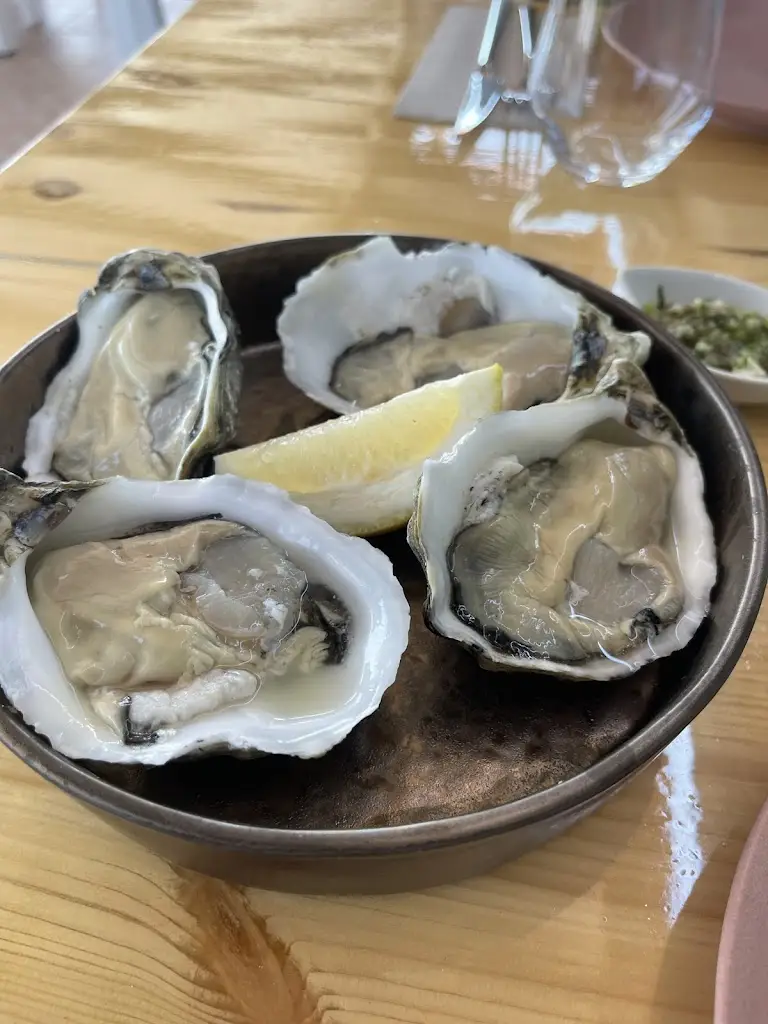 Miguel Da Silva_Cascas e Marés_Alcoutim_recensione