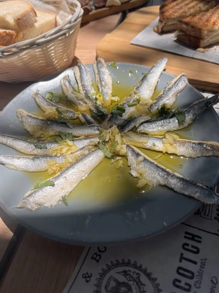 David McKillen_Beira Rio_Alcoutim_review