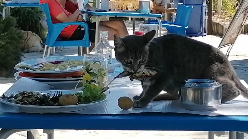 Tá-se Bem Beach Club_Alcoutim_slider_image_2