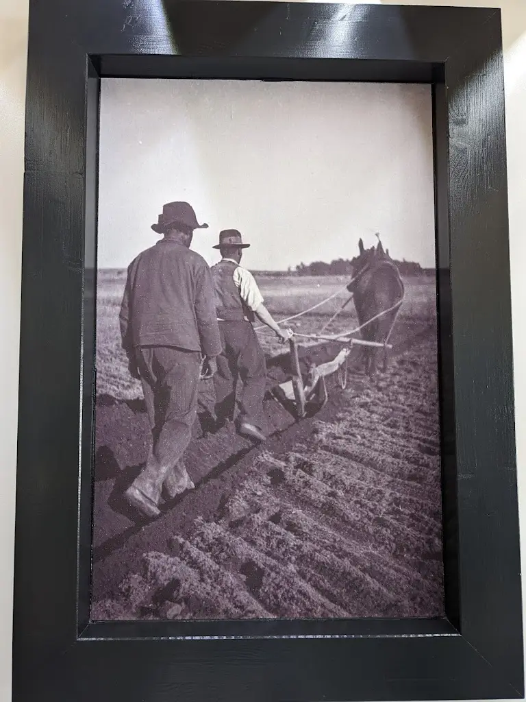 Liz D_O Migalhas_Vendas Novas_reseña