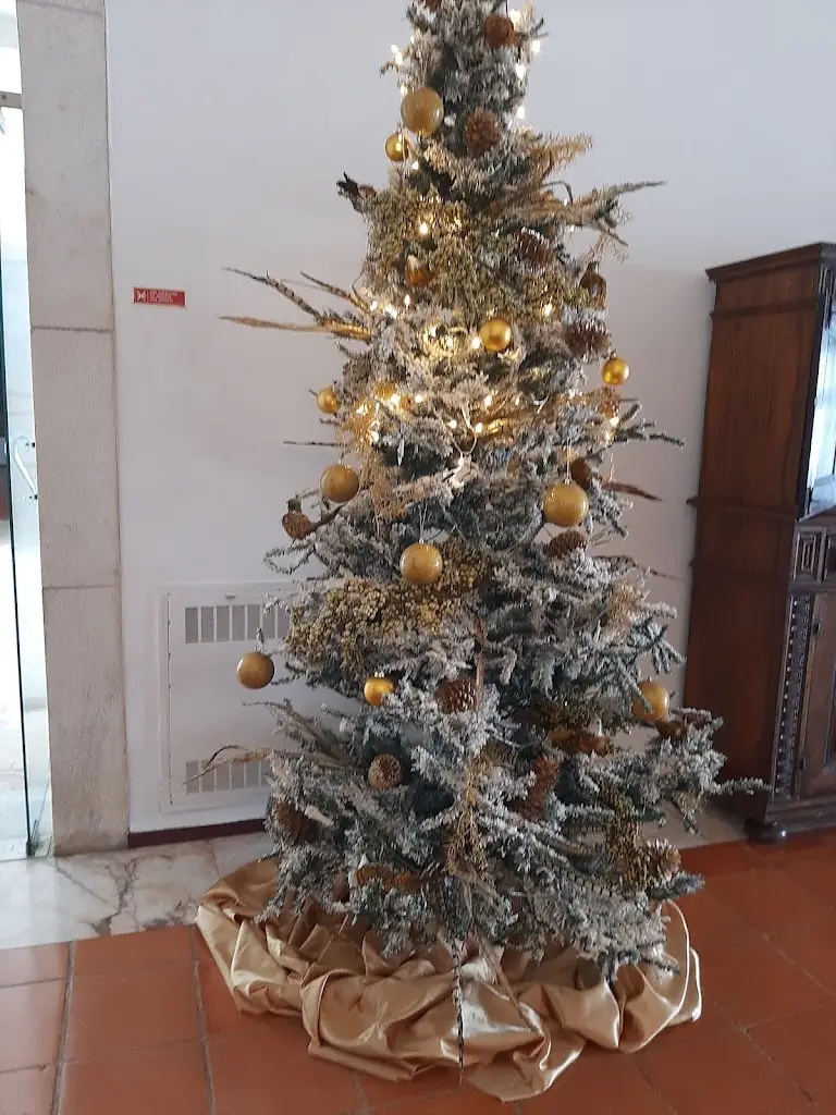 Lidia Mira_Restaurante de Estremoz_Estremoz_review