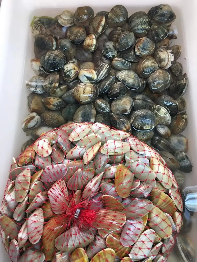 Imperador dos Caracóis_Estremoz_slider_image_2