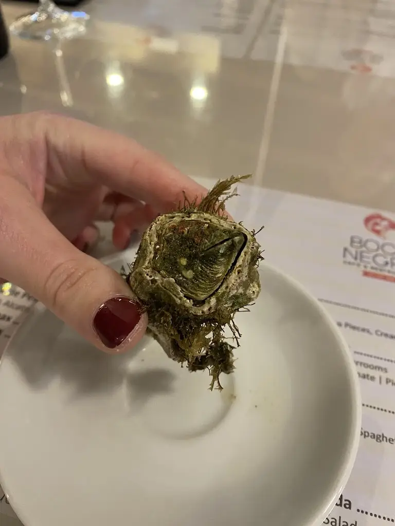 Jason Stein_Restaurante Boca Negra_Porto Judeu_reseña