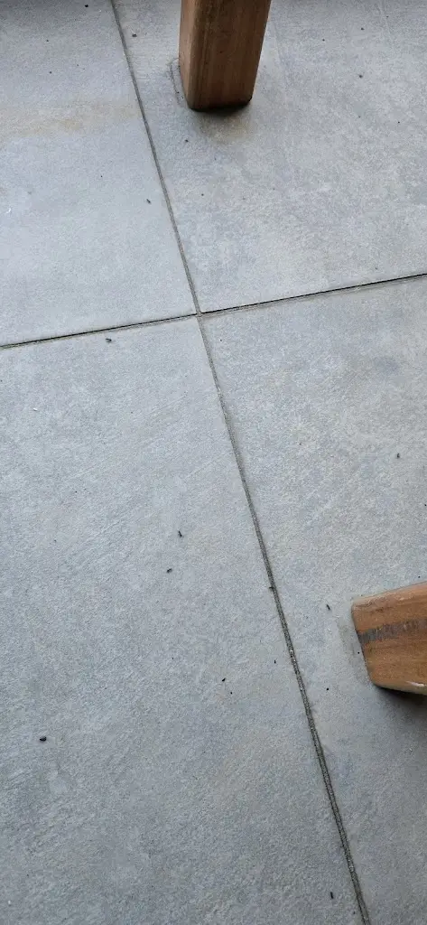 TM 2016_Restaurante ATasca da lena_Tábua_recensione