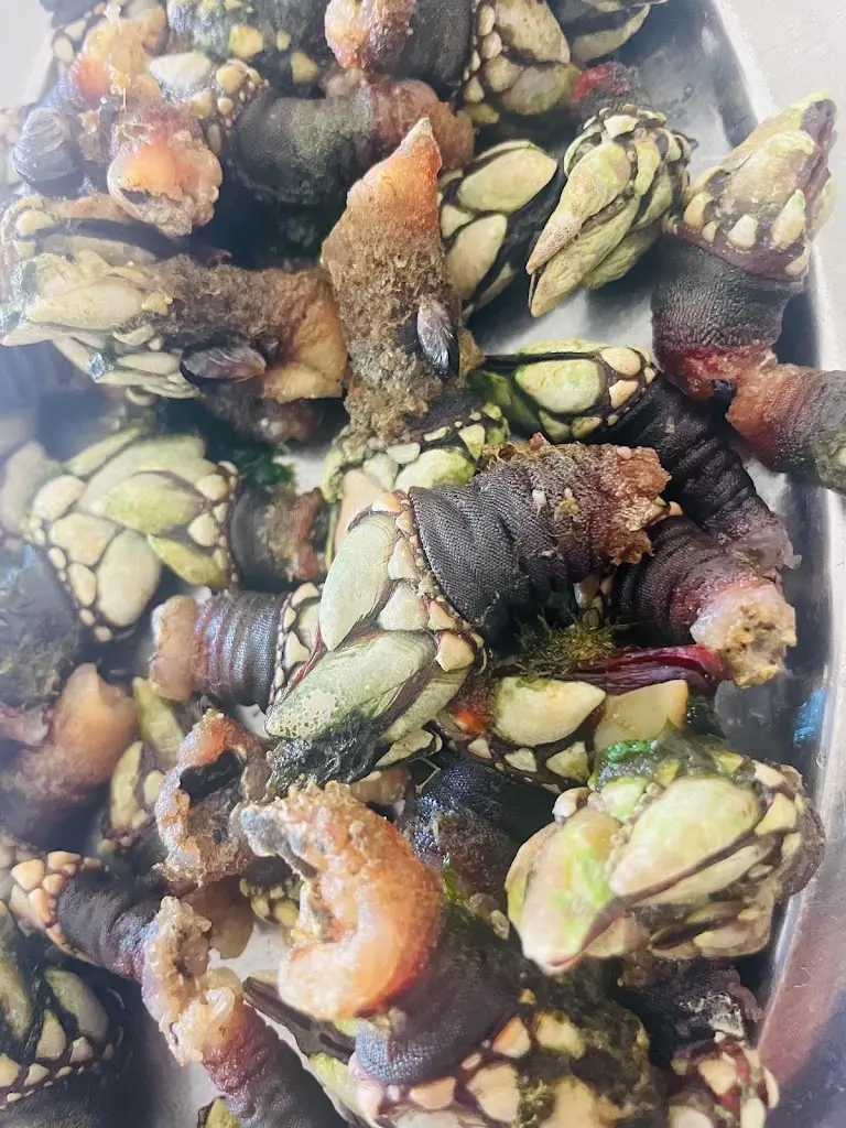 Menu_D'sejarr_Aljezur_immagine_8