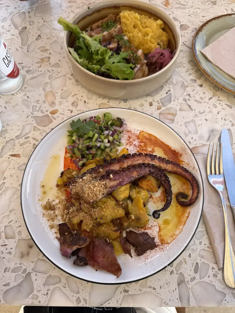 M. Z._CAL ARRIFANA_Aljezur_recensione