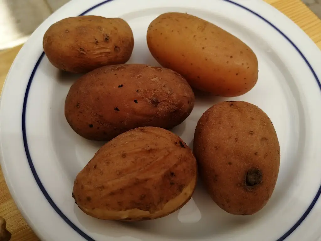 Menu_Restaurante Zé Leiteiro_Alcantarilha_immagine_8