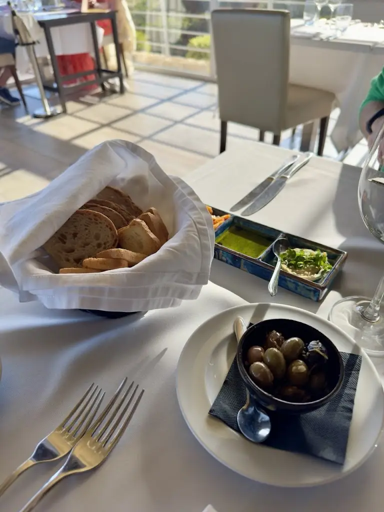 Catarina Lazareva_Olivalmar_Alcantarilha_recensione