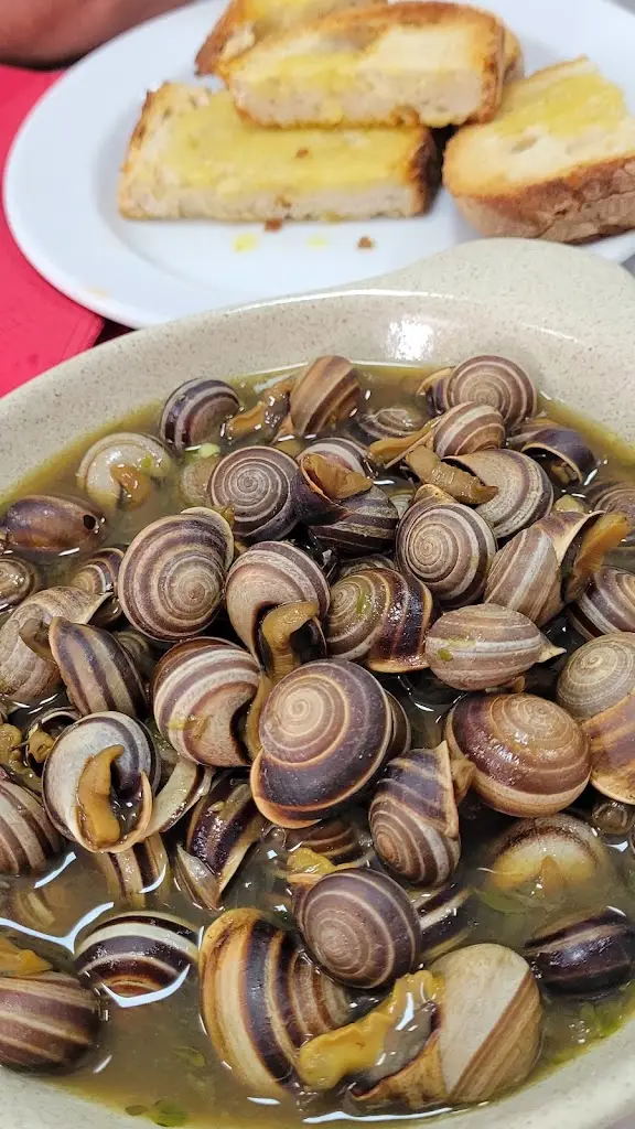 Fernanda Martins Santos_Casa Benfica Reguengos de Monsaraz_Reguengos de Monsaraz_review