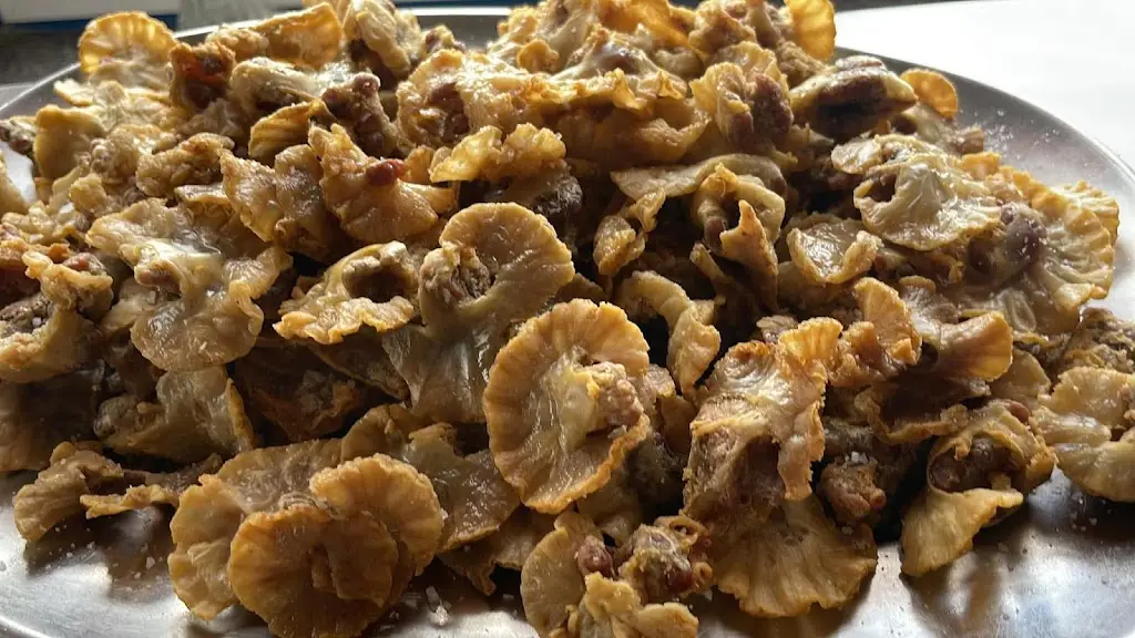 O Cachola_Montemor-o-Novo_slider_image_2