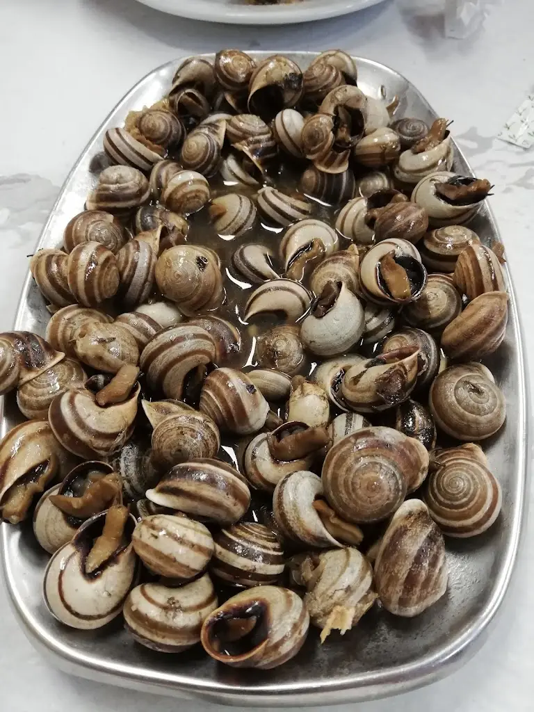 Menu_Europa 5_Montemor-o-Novo_image_3